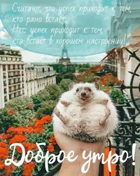 30d27a43a34ec0b735cb6db85b0cc6d5.webp