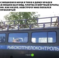 gFWVzGb_bLs.webp