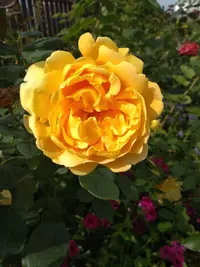 IMG_20200904_125841.webp
