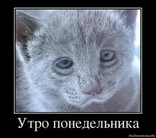 2020-09-21-07-48-58.webp