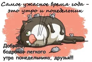 s1200.webp