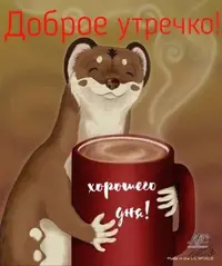 6fecb8cdc0cd0bedfb5f369ccfe99025.webp