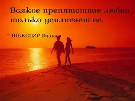 fc0e2a4s-960.webp