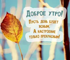 bceeb7ddbe35e6ce4f226fa2d5f24f19.webp