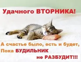 udachnogo-vtornika-a-schaste-bylo-est-i-budet-poka-budilnik-ne-razbudit.webp