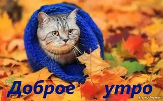 2c9b5833361858a2a54cd645e26ab651.webp