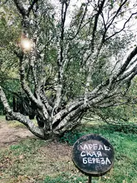 2020-09-22-101518026_compress69.webp