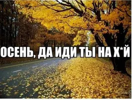 2020-09-23-10-24-54.webp