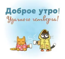 dobroe-utro-chetverga-kartinki-prikolnye-humoraf-9.webp