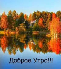 IMG-20200924-WA0001.webp