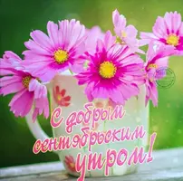 Screenshot_20200924_182631.webp