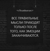 VK_Saved_Photo_ 636615913608760011.webp