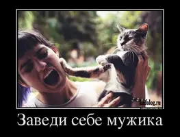 1507699569_001.webp