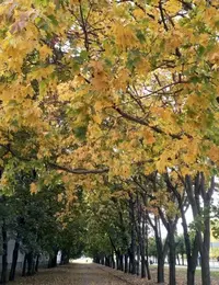 IMG_20200926_172818_076.webp