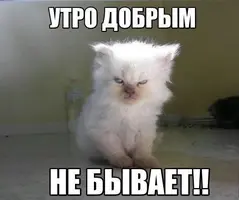 2020-09-27-07-26-22.webp