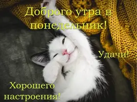 horoshego-nastroeniya.webp