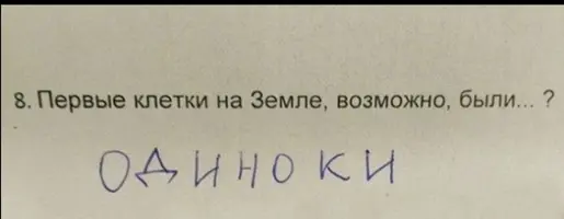 Screenshot_20200928_130133.webp