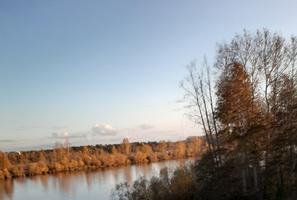 20200927_181546.webp