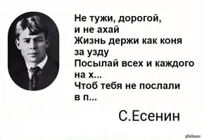 1399008907_1328976602.webp