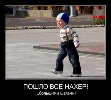 20616354_cd74a96fe9c60e9b270857ca831ac808_800 (1).webp