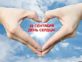 DD6CF92C-6D38-4B71-B43E-B48AB74B81CE.webp