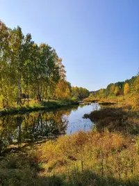 20200926_155824_copy_756x1008.webp