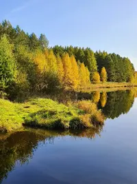 20200926_155859_copy_756x1008.webp