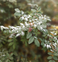 20200930_092135.webp