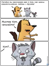 VVxYQ0SaORE.webp