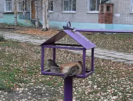 20200930_144056.webp