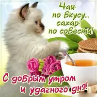 11.webp