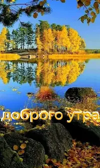 IMG-20200930-WA0000.webp