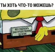 ssoNKa77pag.webp