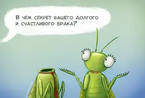 nPyRUrKo6oM.webp