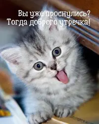 b8f328390fa250b0d4949eb5f6302b58.webp