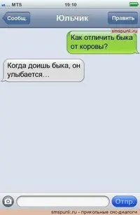 image (4).webp