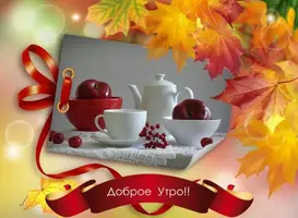 1eda2260967b31c8f72c0600e1303a97.webp