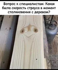 0B78B251-5A3B-48E1-8DF5-4EC3C8FFDBCB.webp