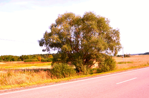 1601748507727.webp