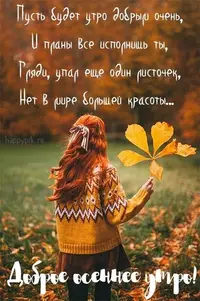 0324fa71d5e85fd0e20ddfb6546f4471.webp