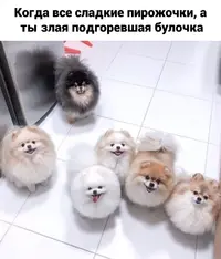 qlHcoWjkXXM.webp