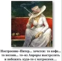 qdBPt91AMK.webp