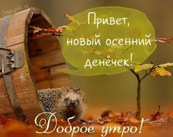 61ad6f535d1a92eb17132072d57e0c1e.webp