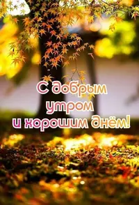 47db81e73b5c09fffe3ed458326ecd26.webp