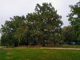 IMG_20201007_170027.webp
