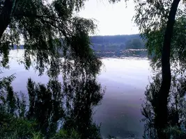 IMG_20201007_165644.webp