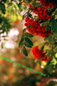 1602392659021.webp
