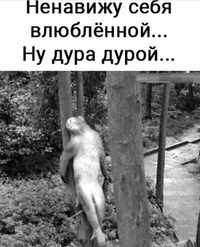06F887A7-5617-4CA4-9334-CCDB44FA6BED.webp