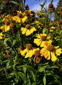 IMG_20201004_165913.webp