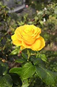 IMG_20201003_144430.webp